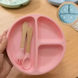 ফুল সিলিকন প্রিমিয়াম প্লেট ৫৫০ টাকা