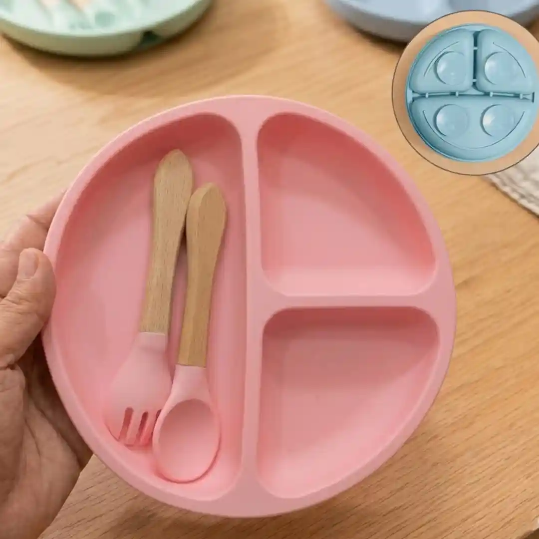 ফুল সিলিকন প্রিমিয়াম প্লেট ৫৫০ টাকা