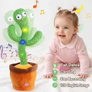 ডেন্সিং ক্যাকটাস ৪৯৯ টাকা